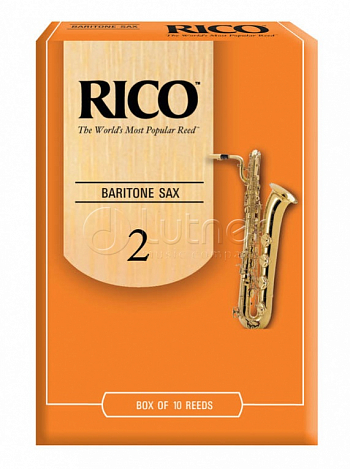 RICO RJA1020 --   - Orange Box 2 (10)   1.