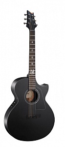 CORT EVL-A4-BKS EVL --  , NDX,  Fishman ISYS EQ,  