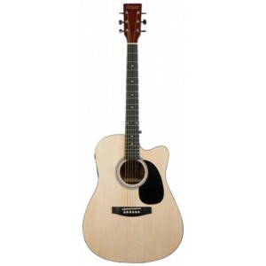 ROCKDALE AG-6CE --  , dreadnought,  - ,    ,