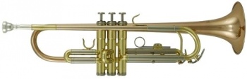 ROY BENSON TR-202G Bb --  ( )
