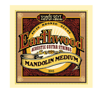 ERNIE BALL 2065 -- ������ ��� ��������� Earthwood 80/20 Bronze Medium Light (10-14-24w-36)