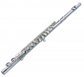 BRAHNER F-115NE -- ,   ,  , -, 16 , 