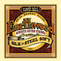 ERNIE BALL 2045 --     Silk & Steel Regular (11-15-22w-30-42-52)