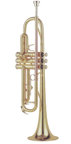 BRAHNER TR-315 -- труба помповая с мундштуком, Bb, лаковое покрытие-золото