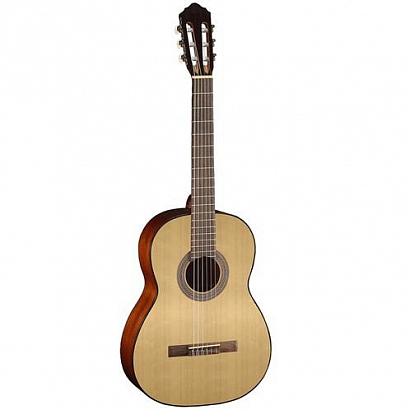CORT AC100-SG -- ������������ ������ 4/4, ���������
