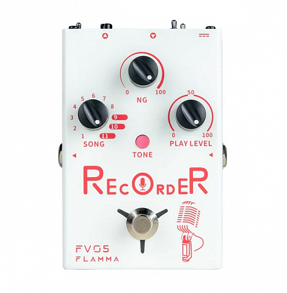 FLAMMA FV05-Recorder -- ������ �������� �����, ����������� � ����������������  ����