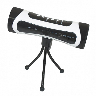 RITMIX RLP-1050 BK  - ����-�����/�����, ����������� (������� + �������), 30mW R + 30mW G, ���