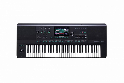 MEDELI AKX10 -- ����������, 61 ��,(touch response) 1100 ������� 280 ������  ��������� 256
