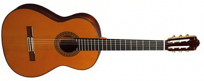 PEREZ 640 Cedar -- ������������ ������ - ����-Solid ��������� ����, ������- ��������� ���������