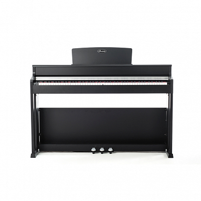 BEISITE B-808 Pro BK --   ,  