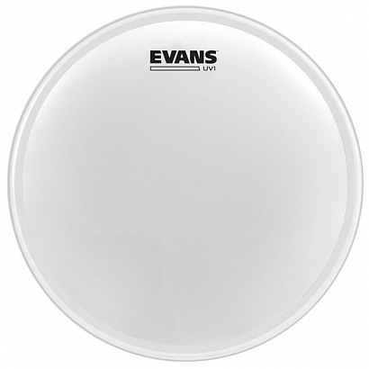 14B EVANS B14UV1 UV1 -- ������� ��� ������ � ���-�������� 14", � ���������