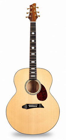 NG JM-800 E --  ,  