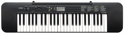 CASIO CTK 240 -- ����������, 49 ������, 100 �������, 100 ������, 50 ���������� ��� �������.