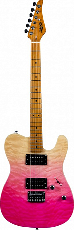 JET JT-450 QTPK -- �������������, Telecaster, ������ - �����, ��� �������� ����, 22 ����, 