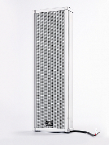 TADS DS-40E -- ãðîìêîãîâîðèòåëü íàñòåííûé, 40Âò  90-16000Ãö.
