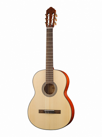 CORT AC200-4/4-OP Classic Series --  ,     