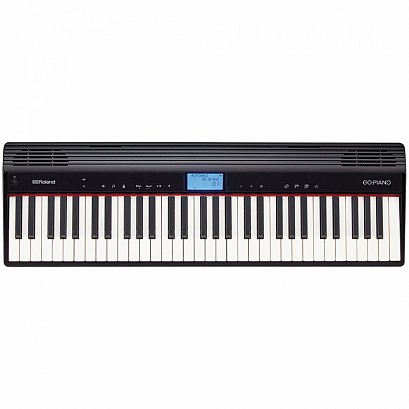 ROLAND GO-61P   -- ���������� �������