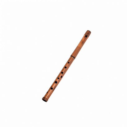 iVolga PCS-01 --   ,  