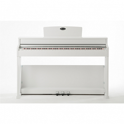 BEISITE B-808 Pro WH -- ��������� �������� ����������, ���� �����