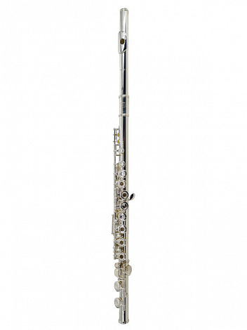 ARTIST AF-5037S  -- ������, �������� ������� �� � �����, �-��������, ������