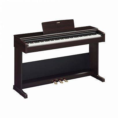 YAMAHA YDP-105R -- �������� ����������, �� ������� � �������, ���������