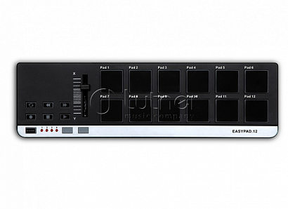 LAUDIO EasyPad -- MIDI ���-����������, 12 �����