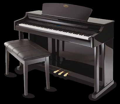 SUZUKI DP-77BLK --  / /88  /64 /3 