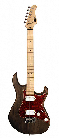 CORT G100-HH-OPW G Series -- �������������, ���� ����