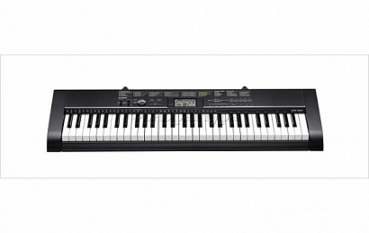 CASIO CTK1250  -- , 61 ,  , 100 , 100 , , 