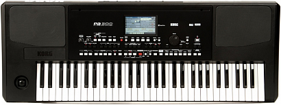KORG Pa300 --   , 61 ,  950  .