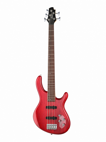 CORT Action-Bass-V-Plus-TR Action Series -- ���-������ 5-��������, �������