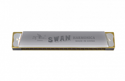 SWAN SW20 --   ,  -  , 20 , 40 
