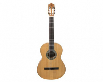 PEREZ 600 -- ������������ ������, ������� ����: ������� ���� ������ ���� � ��������: ������� ������ 