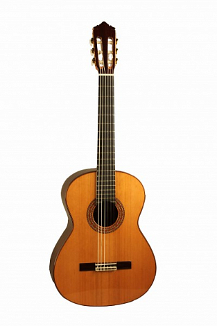 PEREZ 660 Cedar -- ������������ ������, ������� ���� - ������� ����, ������ ���� � �������� - ������