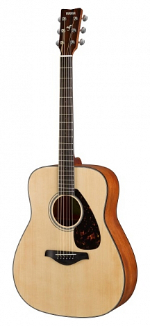 YAMAHA FG800M NATURAL//02 -- ������������ ������, ���� ������ ���, ������ ����, ���� ����