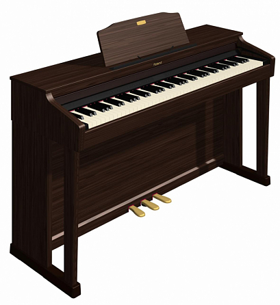 ROLAND HP504-RW+KSC-66-RW --   (.)