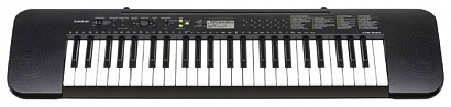 CASIO CTK 245 --   . ., 49 .