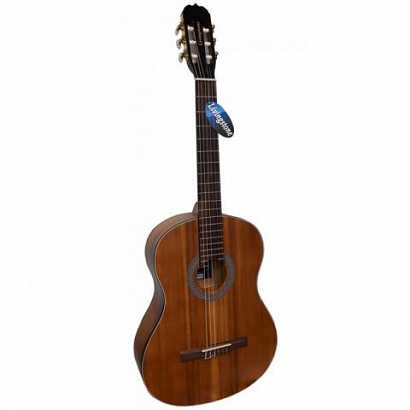 LIVINGSTONE C-120  NS --    ,   