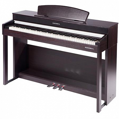 KURZWEIL ANDANTE CUP220 SR --  , 88 . ( ),128- 