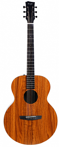 ENYA EM-X1EQ+ -- ������������������� ������,����� � ���������