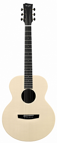 ENYA EA-X2E -- ����������������� ������