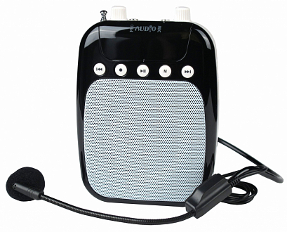 PROAUDIO VOICE AMP --   , 10 ,   , USB/TF MP3