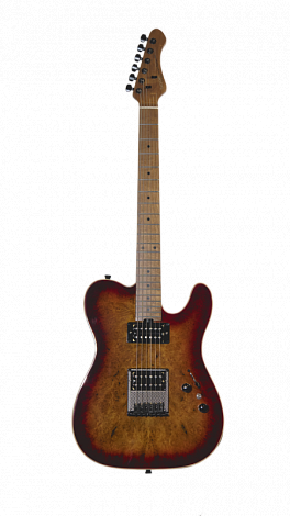 SQOE SD160 CS -- ������������� Telecaster  ����: ����� ��������