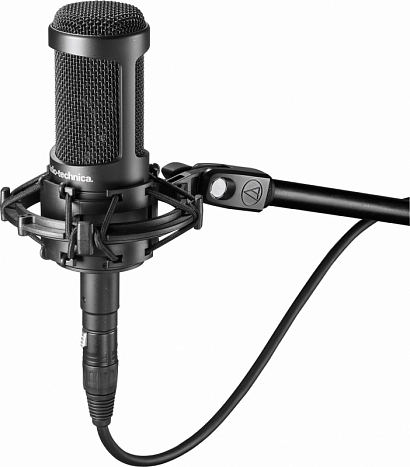 AUDIO-TECHNICA AT2035 --       , 20-20