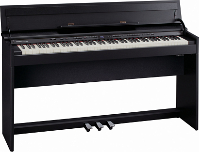 ROLAND DP90-ECB -- �������� ����������